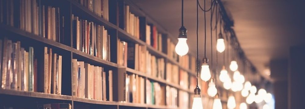 Burcu Pinar Alakoc, Ph.D.